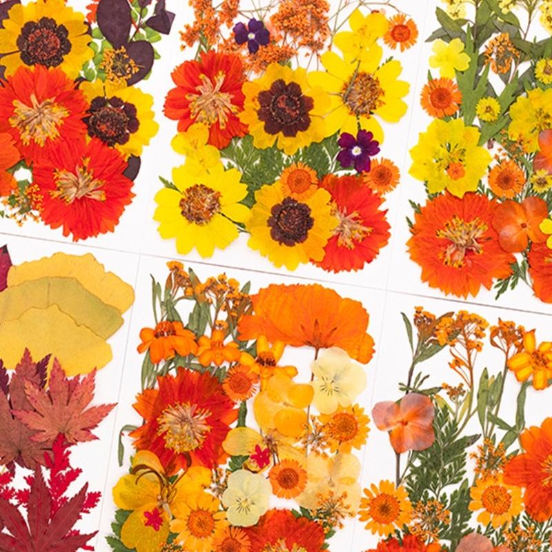 Resin Craft Ideas - Flor prensada seca para moldes resina,