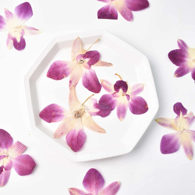 Resin Craft Ideas - 4 peças, Flores de Orquídea Borboleta