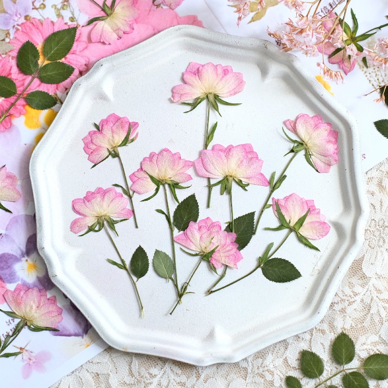 Resin Craft Ideas - 12 peças, Flores Secas Reais Prensadas