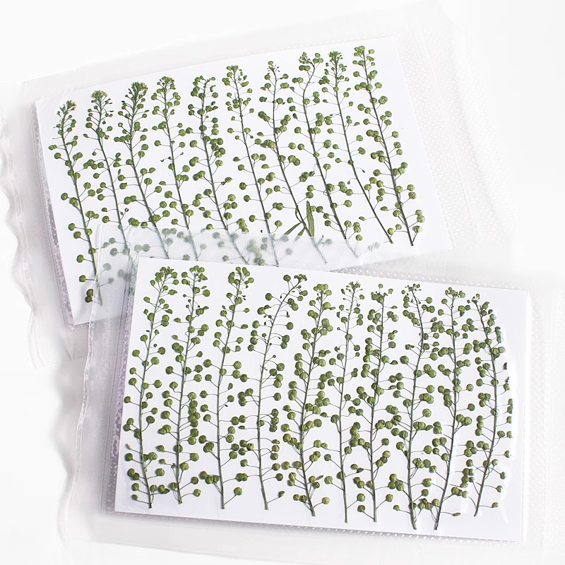 Cor natural verde sino grama p - Resin Craft Ideas avaliação e preço