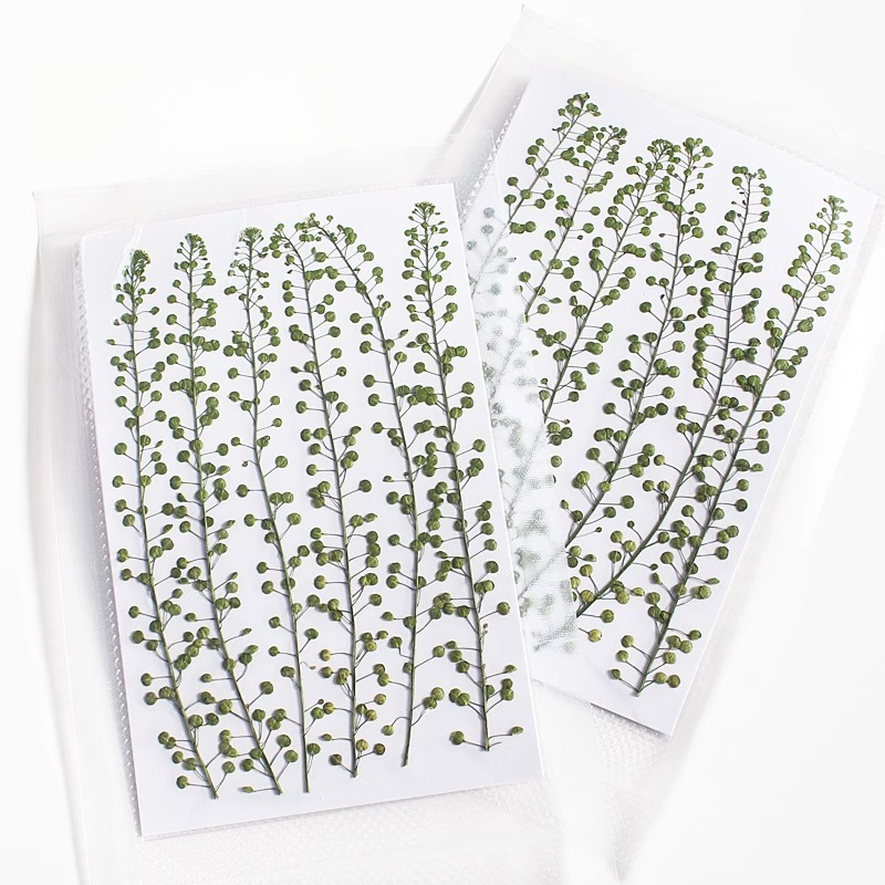 Cor natural verde sino grama p - Resin Craft Ideas avaliação e preço