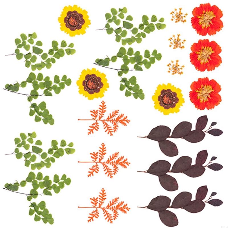Flor prensada seca para moldes - Resin Craft Ideas avaliação e preço