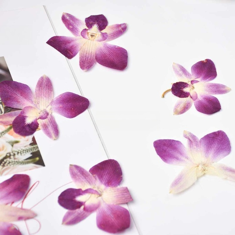 4 peças, Flores de Orquídea Bo - Resin Craft Ideas avaliação e preço