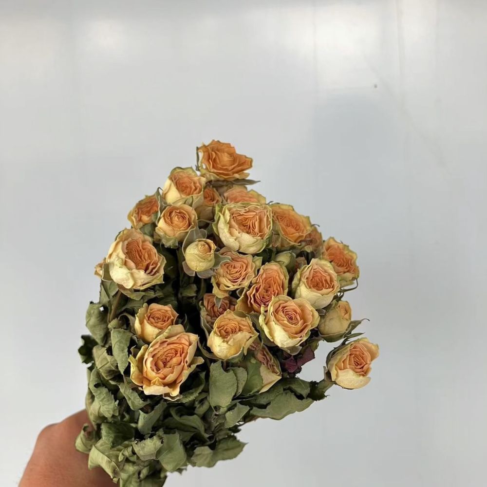 Ramos de rosas naturais preser - Resin Craft Ideas avaliação e preço