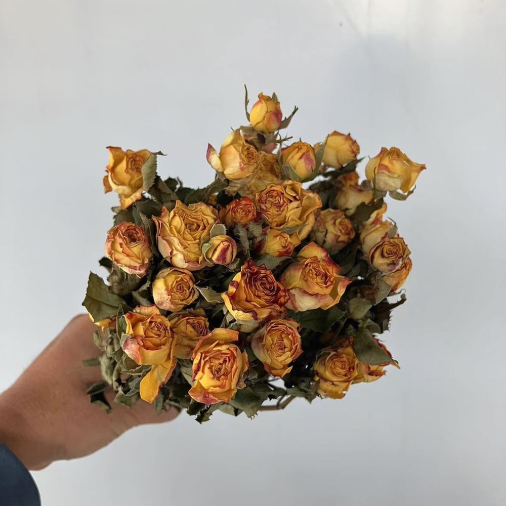 Ramos de rosas naturais preser - Resin Craft Ideas avaliação e preço