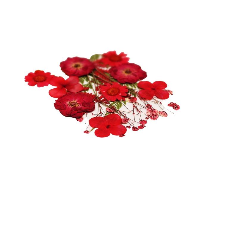 Flores Naturais Prensadas e Se - Resin Craft Ideas avaliação e preço