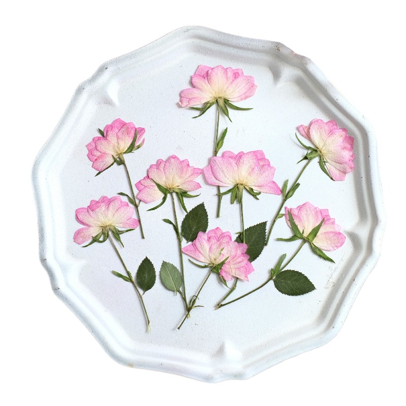 12 peças, Flores Secas Reais P - Resin Craft Ideas avaliação e preço